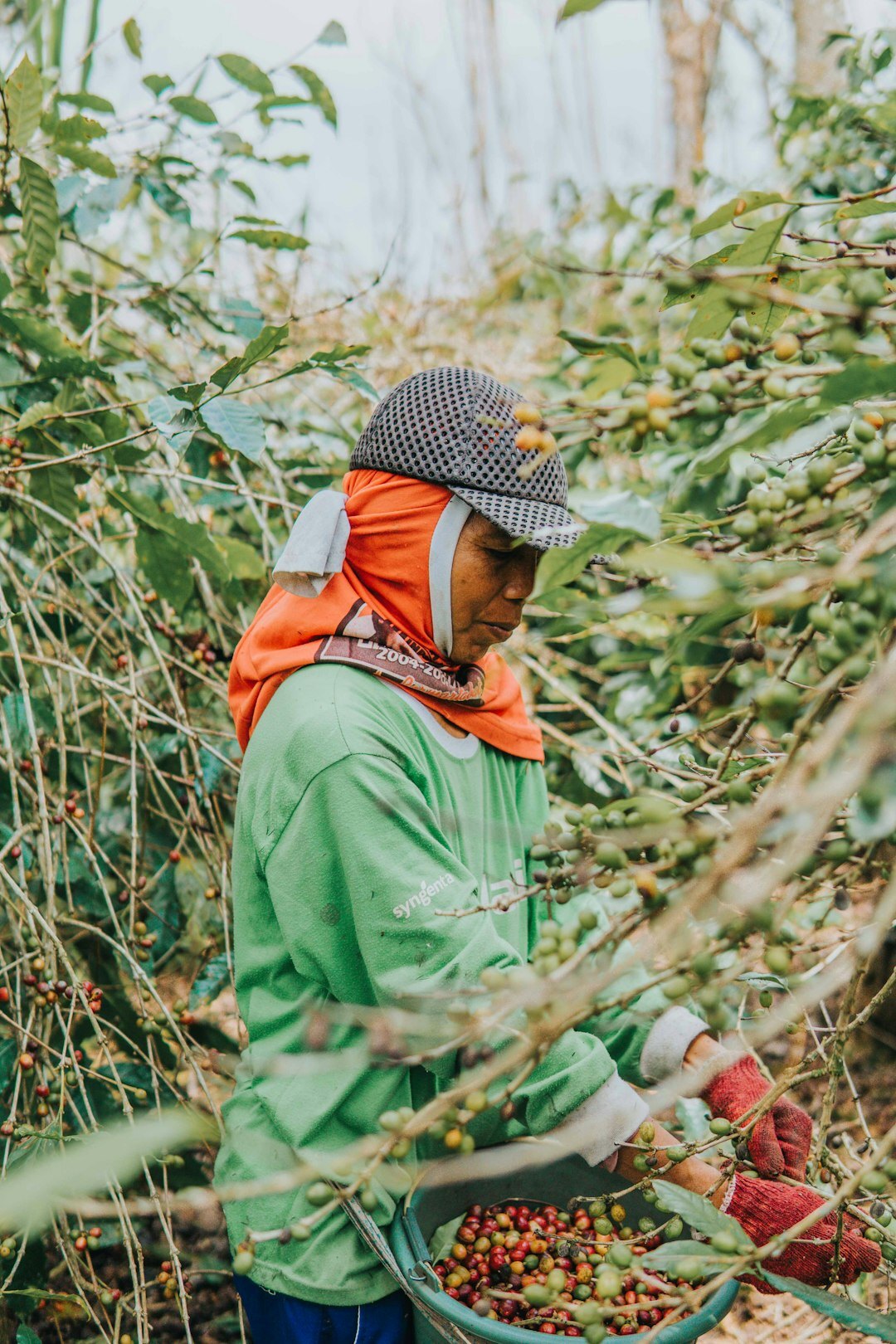 woman on organic farm