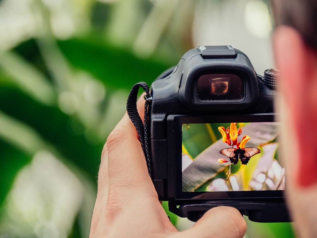 photographer taking pictures